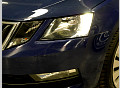 1.4 TSI G-TEC 81 kW DSG Active