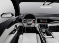 Talentovaný vícebojař: Audi Q8 sport concept